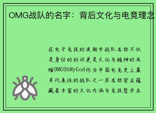 OMG战队的名字：背后文化与电竞理念