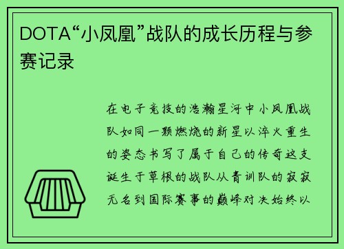 DOTA“小凤凰”战队的成长历程与参赛记录